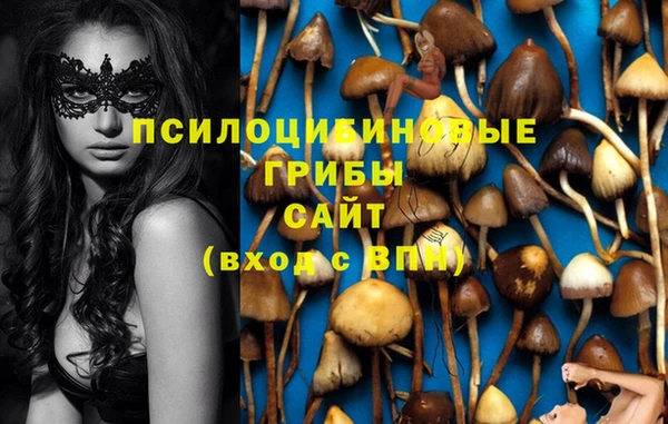 тгк Нея