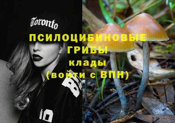 ECSTASY Нефтекумск