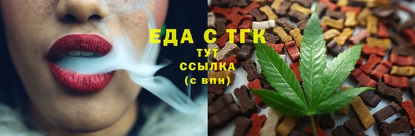 прущие грибы Новозыбков