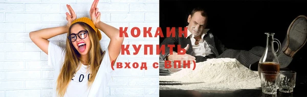 прущие грибы Новозыбков