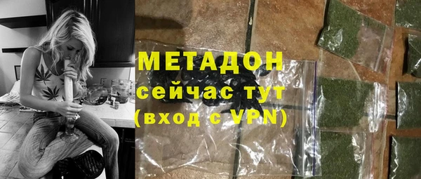 прущие грибы Новозыбков