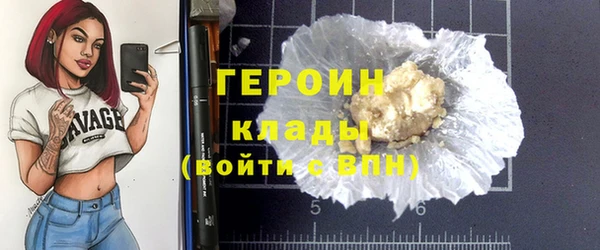 прущие грибы Новозыбков