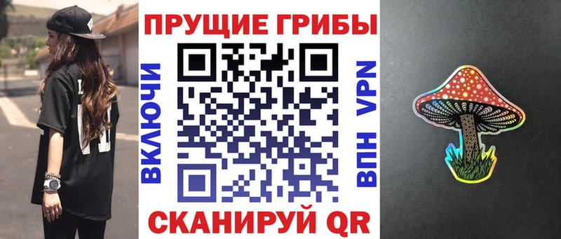 hydra ссылка где продают Курчатов Галлюциногенные грибы GOLDEN TEACHER