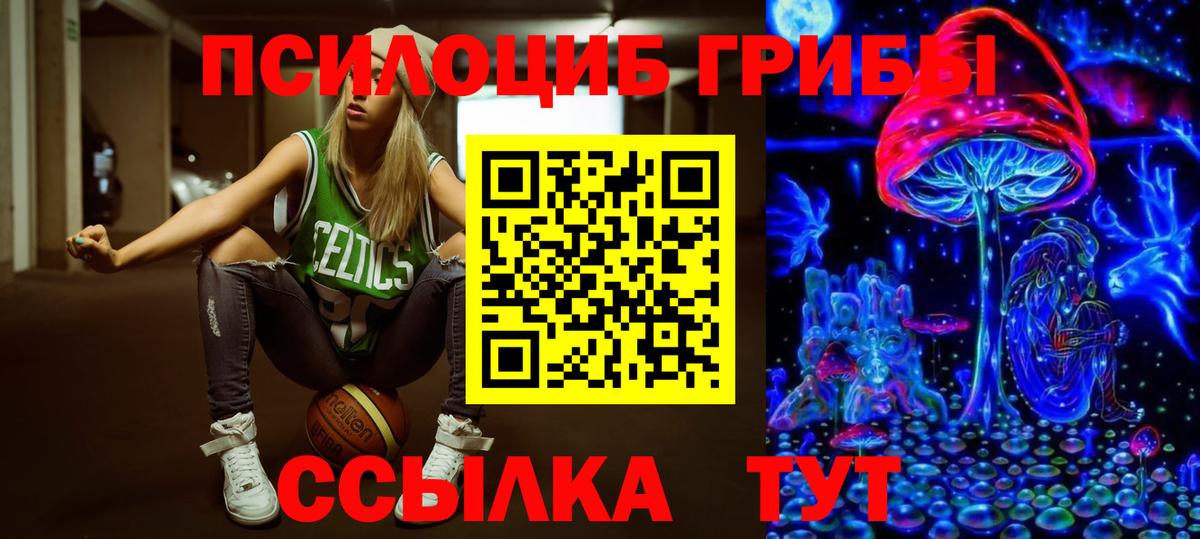 Галлюциногенные грибы Cubensis  Вход с VPN  Курчатов 
