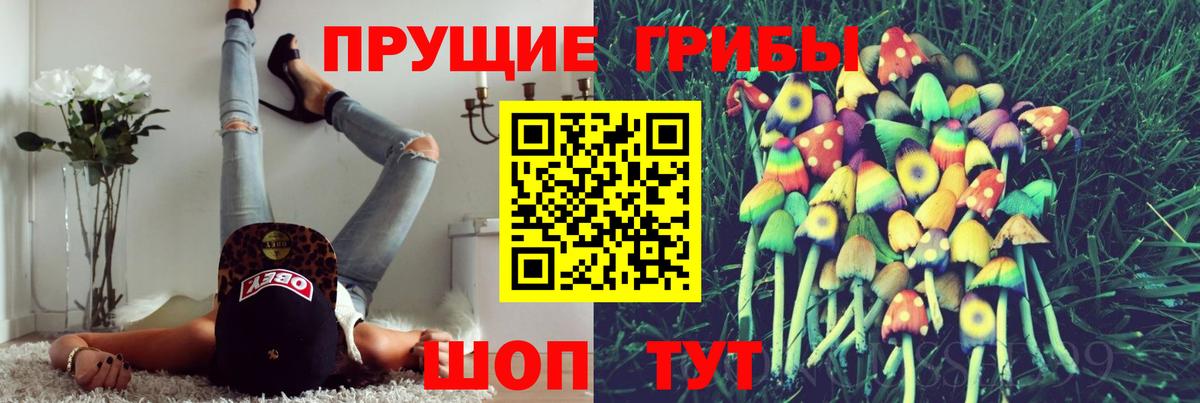 Псилоцибиновые грибы мицелий Курчатов