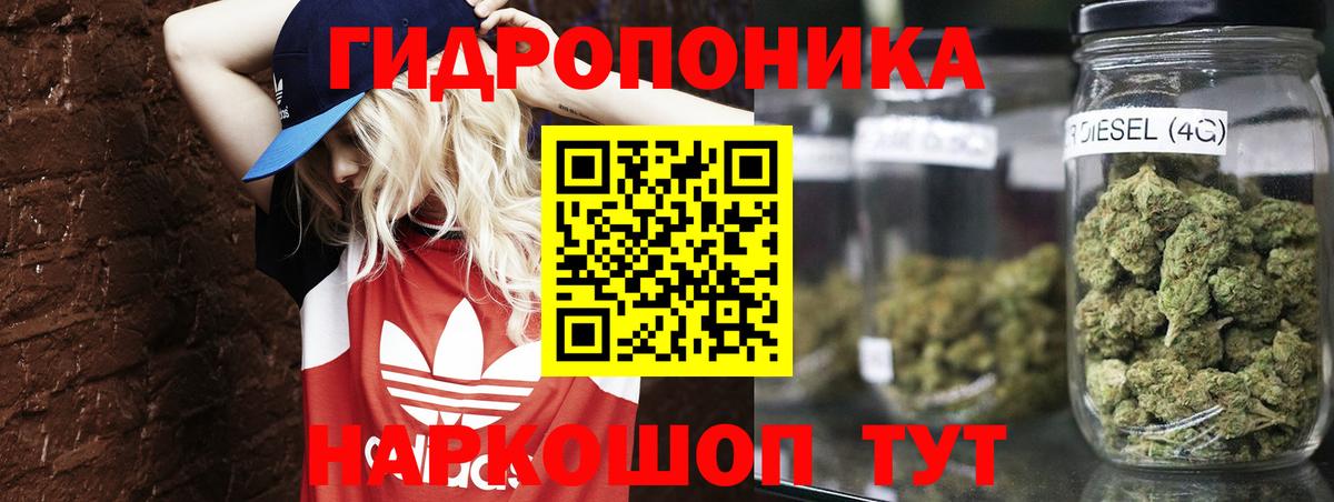 Марихуана Курчатов